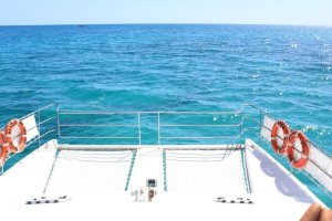 58660_433081593174_638553174_5155885_191001_n