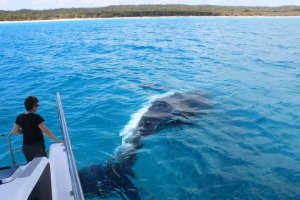 Close encounters that pretty much dwarf the rest of us. 