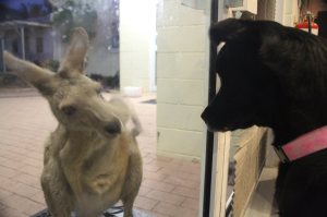 From the outside looking in.