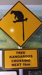 1964769_735525076471927_1316968000_n