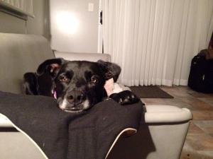 10480979_10152315352333175_8374201877892552132_n