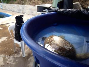 10603792_10152315352338175_5894478630441549912_n