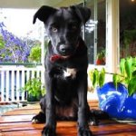 300872_10150340343053175_1049783969_n