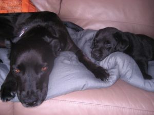 316398_10150340348993175_1970169046_n